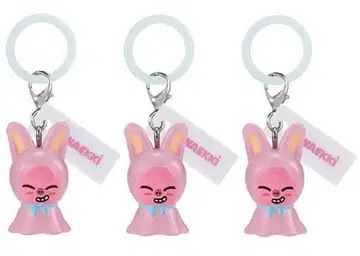 SKZOO 메지루시 액세서리 DWAEKKI 3개 세트