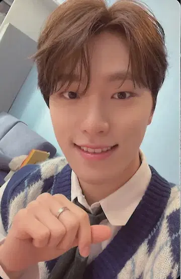 SEVENTEEN FML DINO 트레이딩 카드