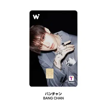 Stray Kids WOWPASS 와우패스 스키즈 공식 카드 반찬