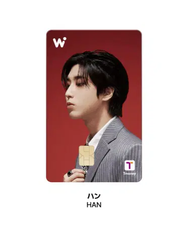 Stray Kids WOWPASS 와우패스 스키즈 공식 카드 한