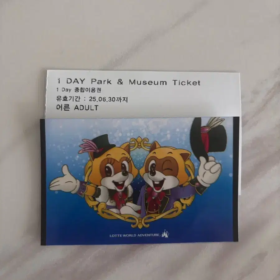 롯데월드 자유이용권 + 민속박물관 티켓