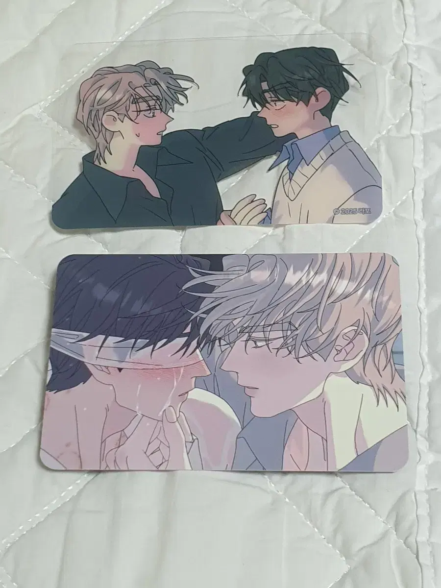 Lezhin A Morning Has Come Rootless Tree 100,000 KRW Pre-order Benefit Poca Photocard Set