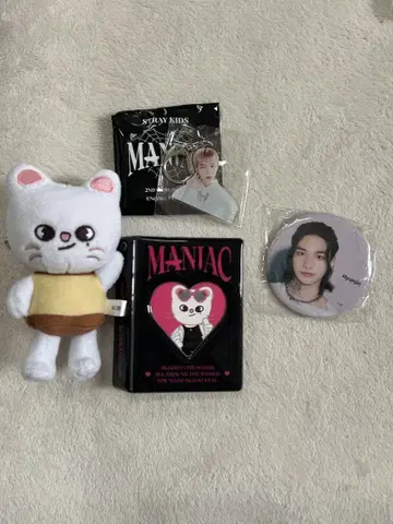 StrayKids 지니레트 현진 세트