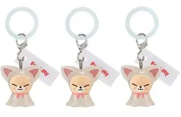 SKZOO 메지루시 액세서리 FoxI.Ny 3개 세트