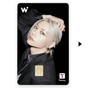 wowpass 와오패스 스키즈 stray kids 필릭스