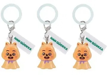 SKZOO 메지루시 액세서리 HAN QUOKKA 3개 묶음