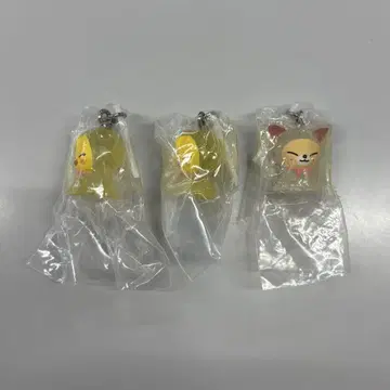 SKZOO 스키즈 가챠 메지루시 액세서리 포가리, 포키니