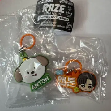 RIIZE 앤톤 가챠  메지루시 액세서리