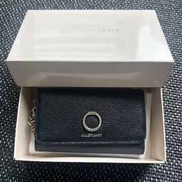 JILL STUART 블랙 키케이스