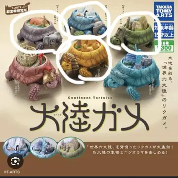 대륙 거북