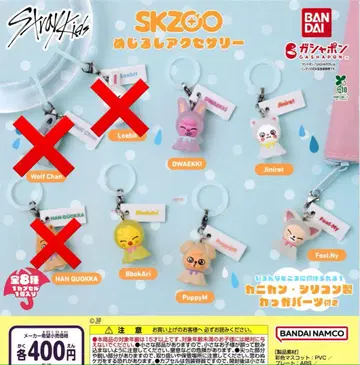 SKZOO 메지루시 액세서리 5종 세트