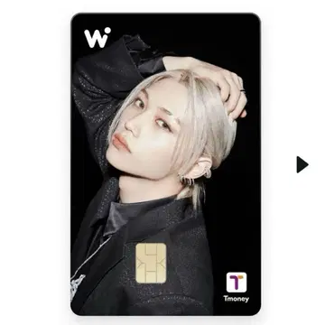 wowpass 와오패스 스키즈 stray kids 필릭스