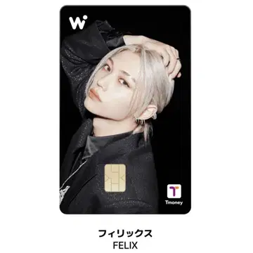 wowpass 필릭스 Stray kids 와우패스 스키즈 Felix