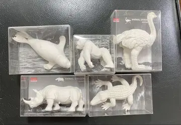 동물, 생물, 애니멀 지우개