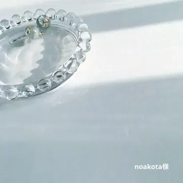 노아코타 님