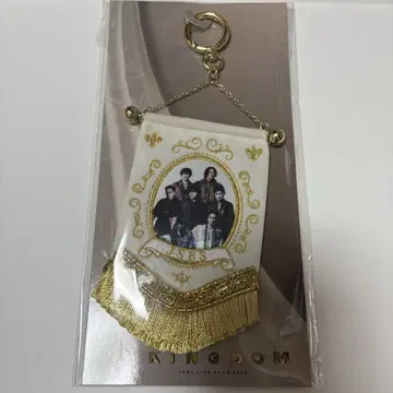 3대째 Kingdom 비주얼 미니 태피스트리