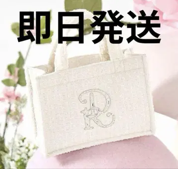 DR 비쥬 미니 토트백 화이트