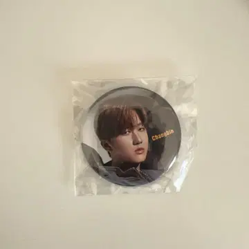 straykids 캔뱃지 Changbin