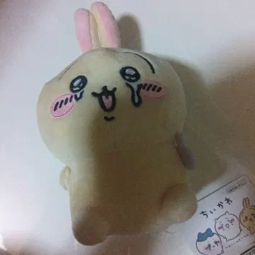 치이카와 (먼작귀) 울고 있는 봉제 인형 토끼