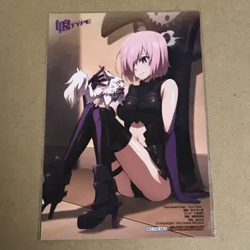 Fate FGO 신부TYPE 게이머즈 특전 브로마이드 마슈