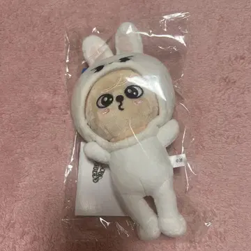 straykids 퍼핌 백 참