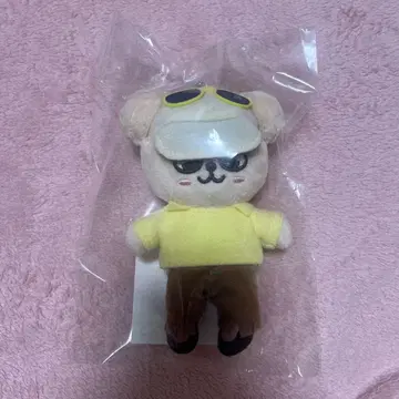 straykids 퍼핌 백 참