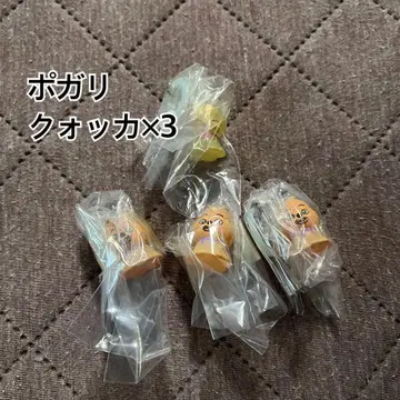 skzoo 메지루시 액세서리