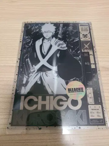 BLEACH 전망대 공원 쿠로사키 이치고 입장 혜택