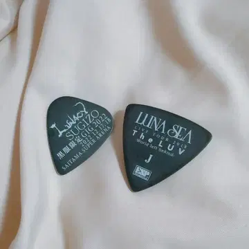 LUNA SEA 피크