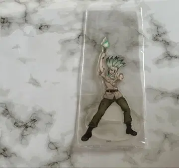 Dr.STONE 닥터 스톤 이시카미 치쿠