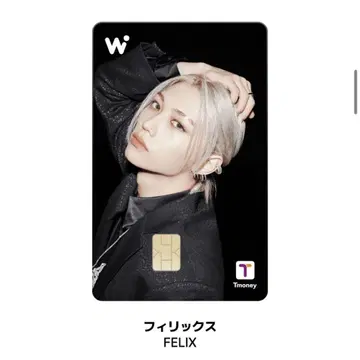 wowpass 필릭스 Stray kids 와오패스 스키즈 Felix