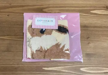 페이러 이브이