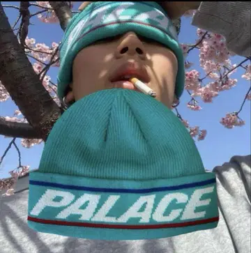 palace skateboards 비니