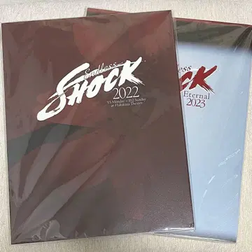Endless SHOCK 2022 2023 팜플렛