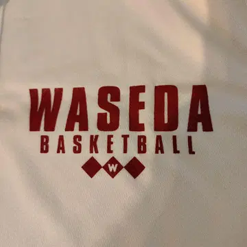 Champion WASEDA BASKETBALL 피케 셔츠