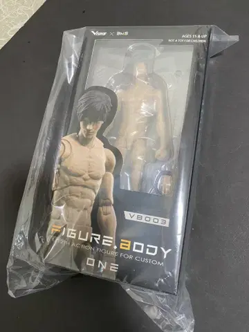 VTOYS FIGURE BODY VB003 1/12 소체