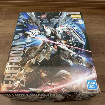 MG 프리덤 건담 Ver.2.0 SEED