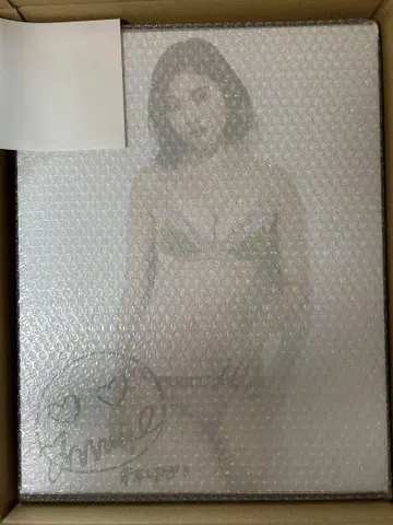 하야시 유메 친필 사인 포함 패널 blt graph. vol.52