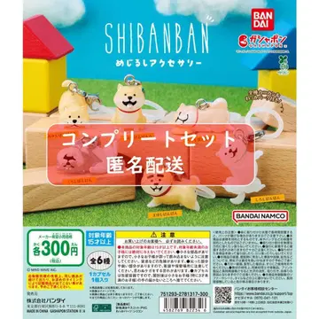 시반반 메지루시 액세서리 전 6종 세트 가챠