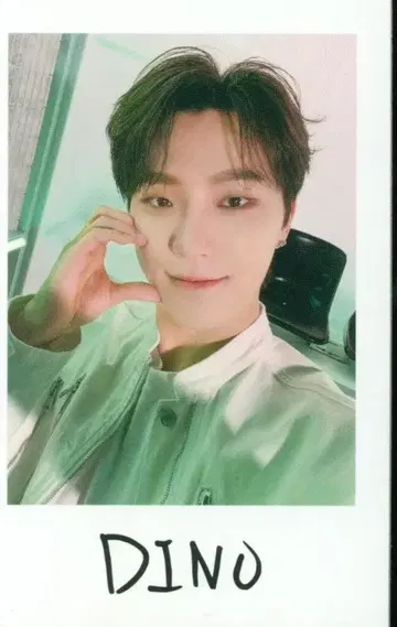 세븐틴 DINO 2024 FOLLOW AGAIN TO JAPAN 셀카