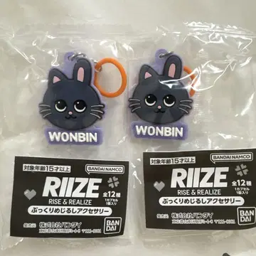 RIIZE 가챠 메지루시 액세서리 원빈 냥도쿠 2개 세트