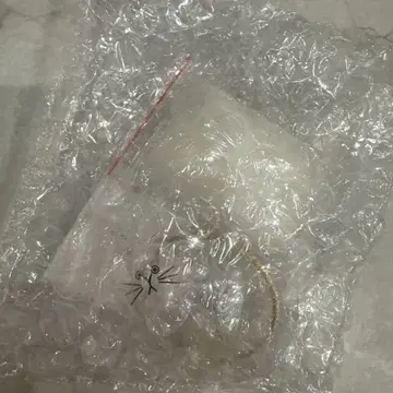 가챠가챠 캡슐 우리 아이의 잿가루 노멀