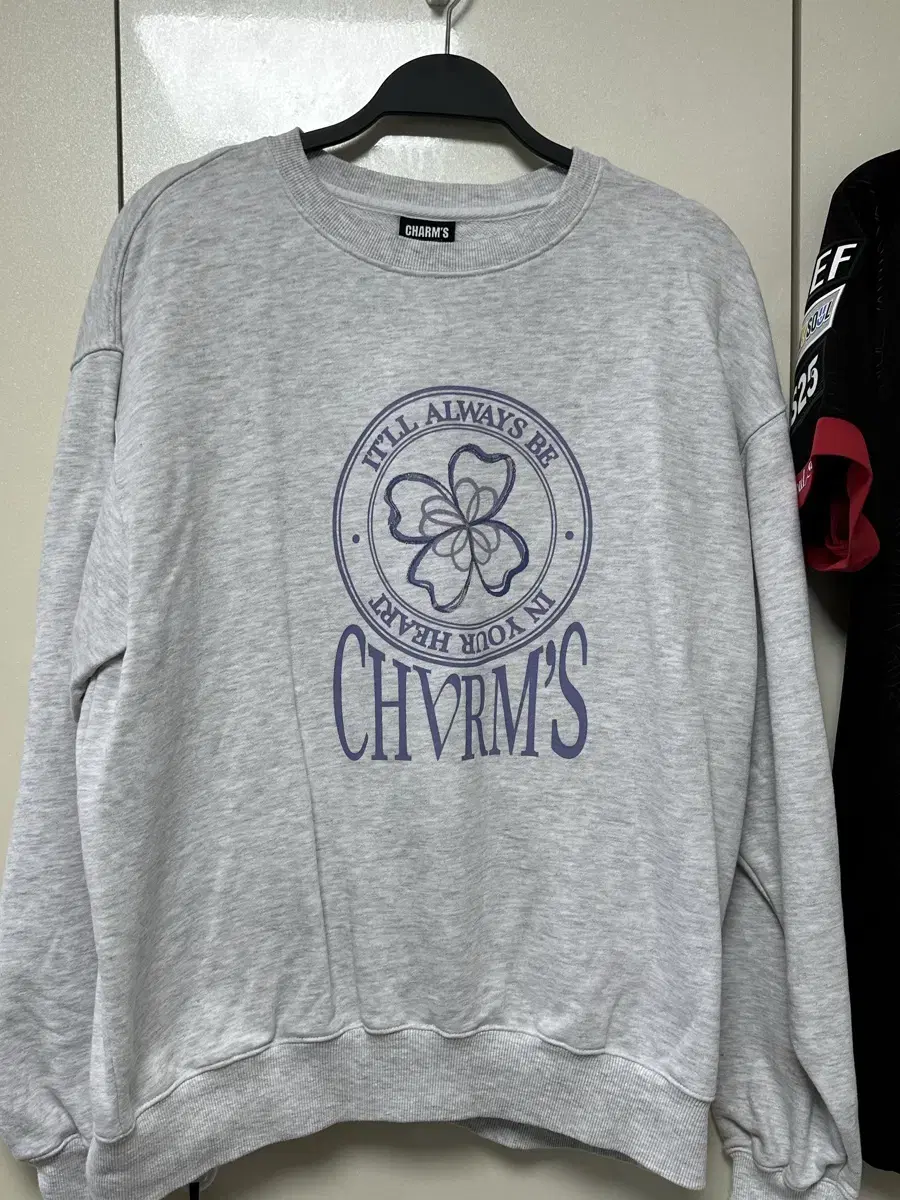 Viviz Charm's Collaboration Sweatshirt eunha ver Size1