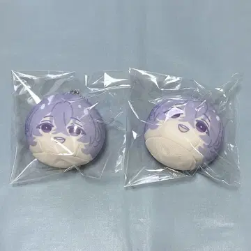 꽃 무리 겨울 새싹 유메 만주