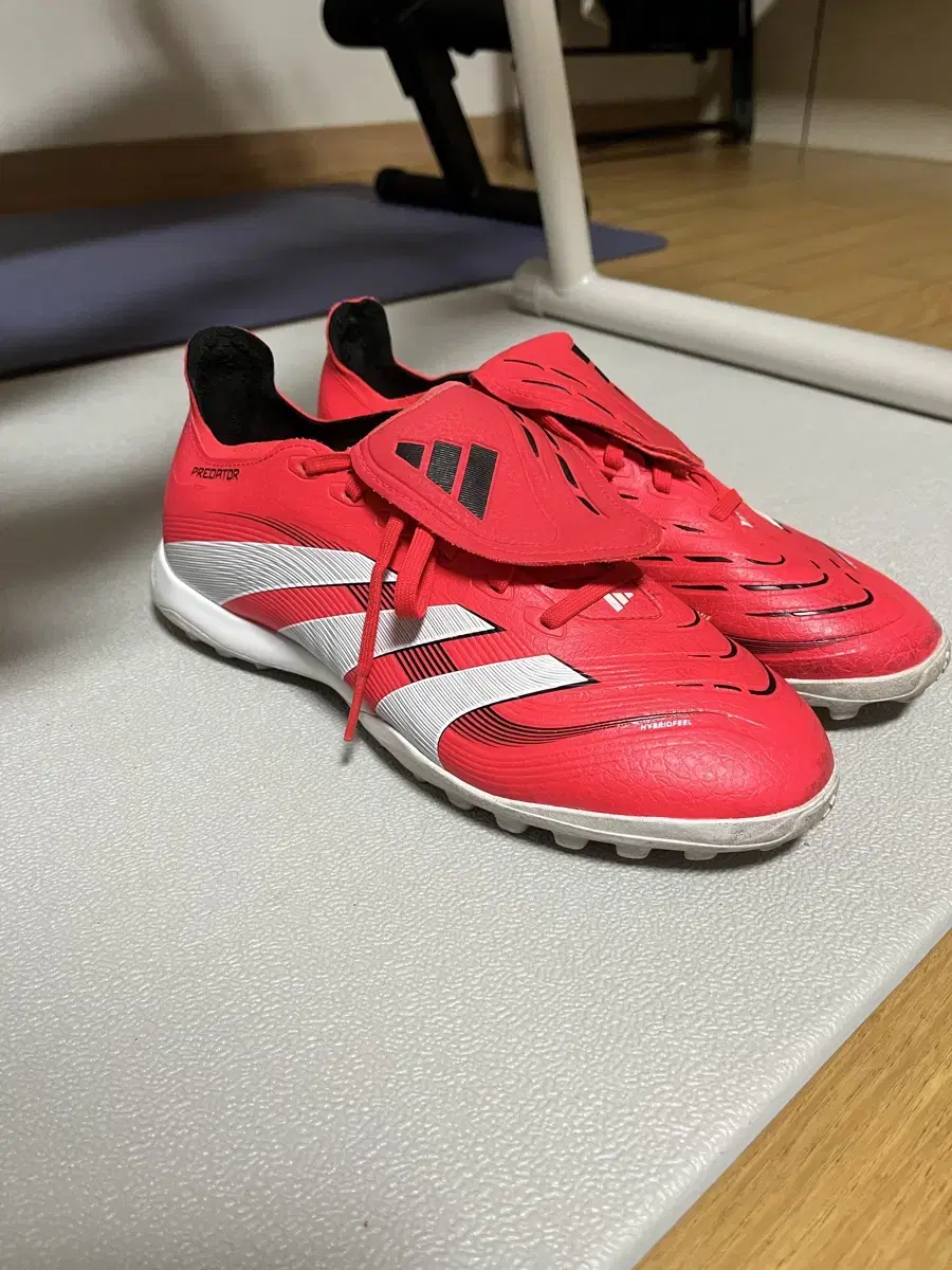 Adidas Predator Futsal Shoes