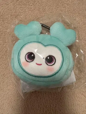 TWICE 미브리 이어폰 파우치
