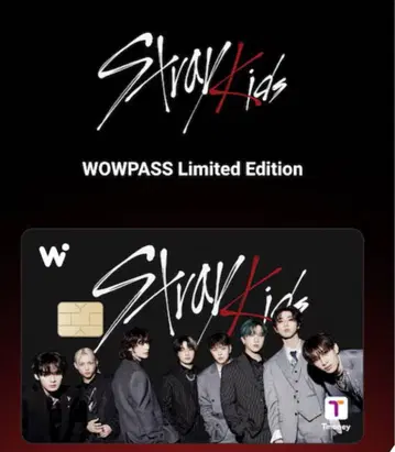 스트레이 키즈 WOWPASS 한정판
