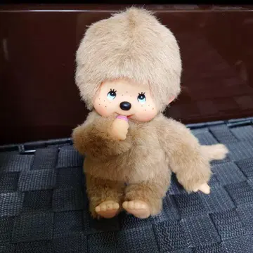 몬치치 S 베이지 파란 눈 블루 아이