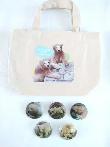 야기야마 동물 공원 쌍둥이 북극곰 토트백 캔 배지 세트