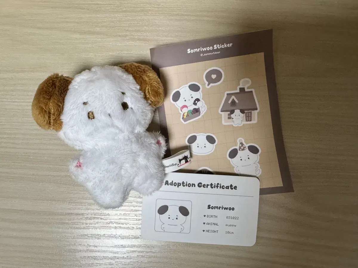 Boynextdoor Riwoo Cotton Riwoo Doll
